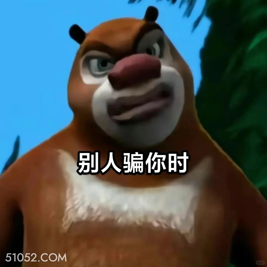 别人骗你时 熊出没 动画片 熊大熊二 光头强 搞笑表情