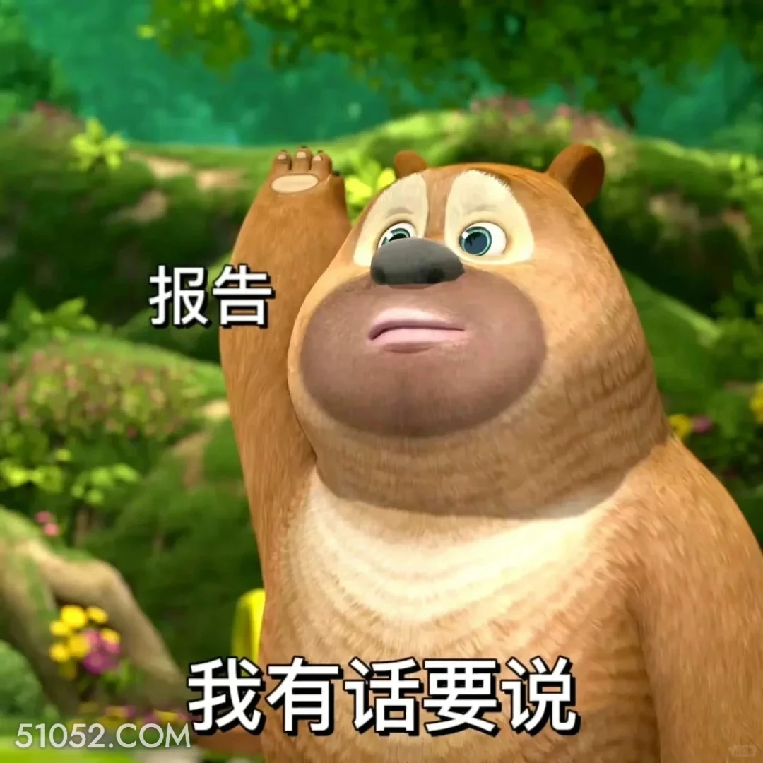 我有话要说 熊出没 动画片 熊大熊二 光头强 搞笑表情