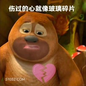 伤过的心就像玻璃碎片 熊出没 动画片 熊大熊二 光头强 搞笑表情