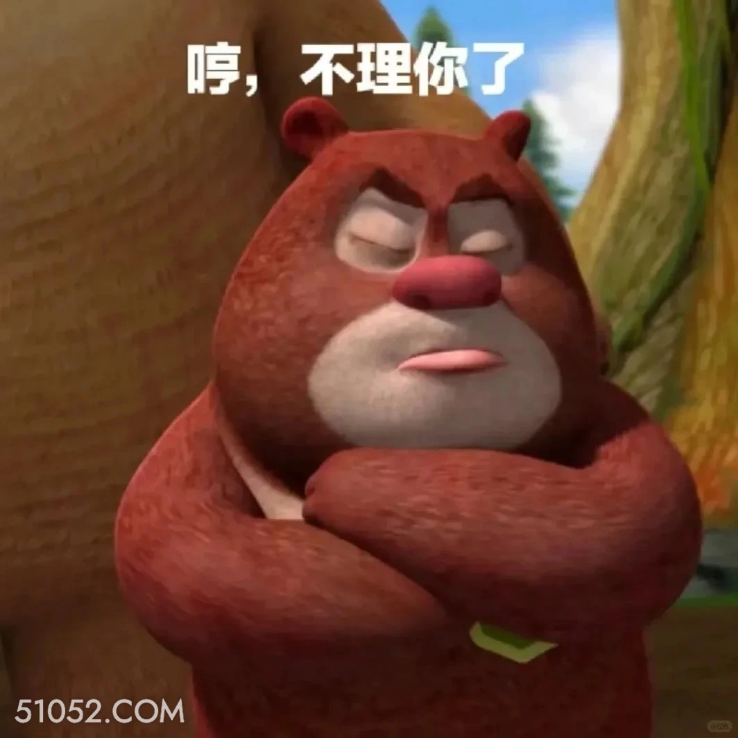 不理你了 熊出没 动画片 熊大熊二 光头强 搞笑表情