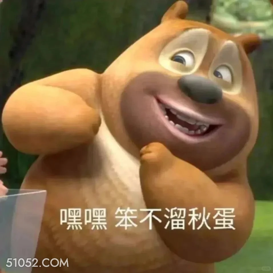 笨不溜秋的 熊出没 动画片 熊大熊二 光头强 搞笑表情