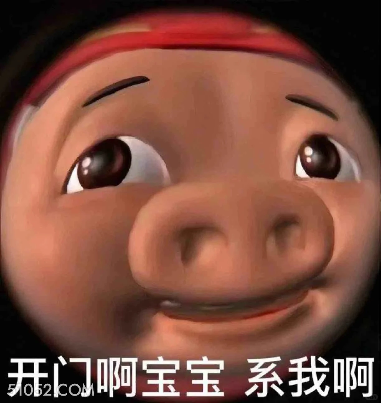 开门宝宝，是我 猪猪侠 动画片 GG Bond 搞笑表情 喜剧