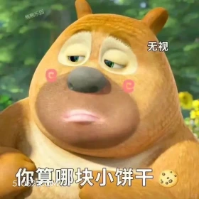 你算哪块小饼干 熊出没 动画片 熊大熊二 光头强 搞笑表情