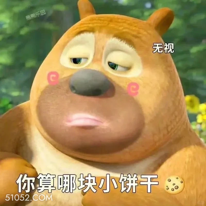 你算哪块小饼干 熊出没 动画片 熊大熊二 光头强 搞笑表情