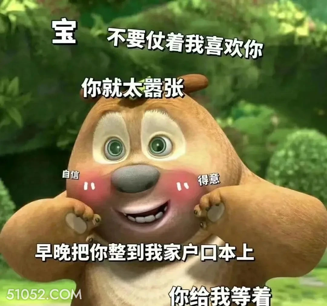 早晚给你整到我家户口本上 熊出没 动画片 熊大熊二 光头强 搞笑表情
