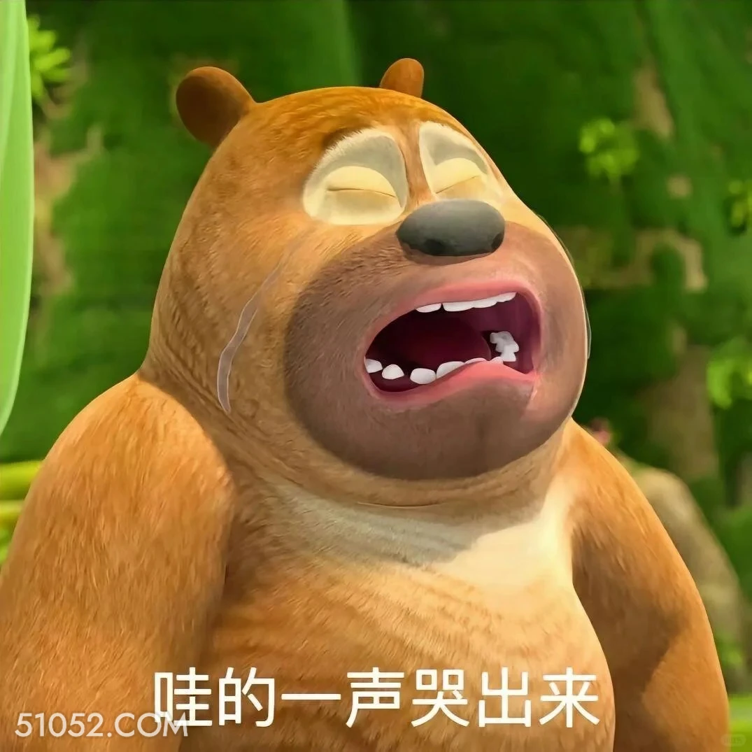 哇的一声哭出来 熊出没 动画片 熊大熊二 光头强 搞笑表情