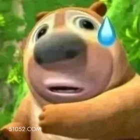 熊出没 熊出没 动画片 熊大熊二 光头强 搞笑表情