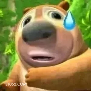 ！ 熊出没 动画片 熊大熊二 光头强 搞笑表情