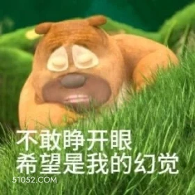 不敢睁开眼 熊出没 动画片 熊大熊二 光头强 搞笑表情