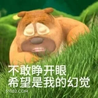 不敢睁开眼 熊出没 动画片 熊大熊二 光头强 搞笑表情