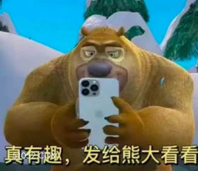 真有趣，发给熊大看看 熊出没 动画片 熊大熊二 光头强 搞笑表情