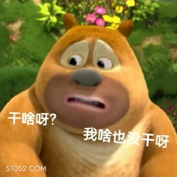 我啥也没干 熊出没 动画片 熊大熊二 光头强 搞笑表情