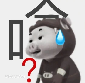 哈？ 猪猪侠 动画片 GG Bond 搞笑表情 喜剧