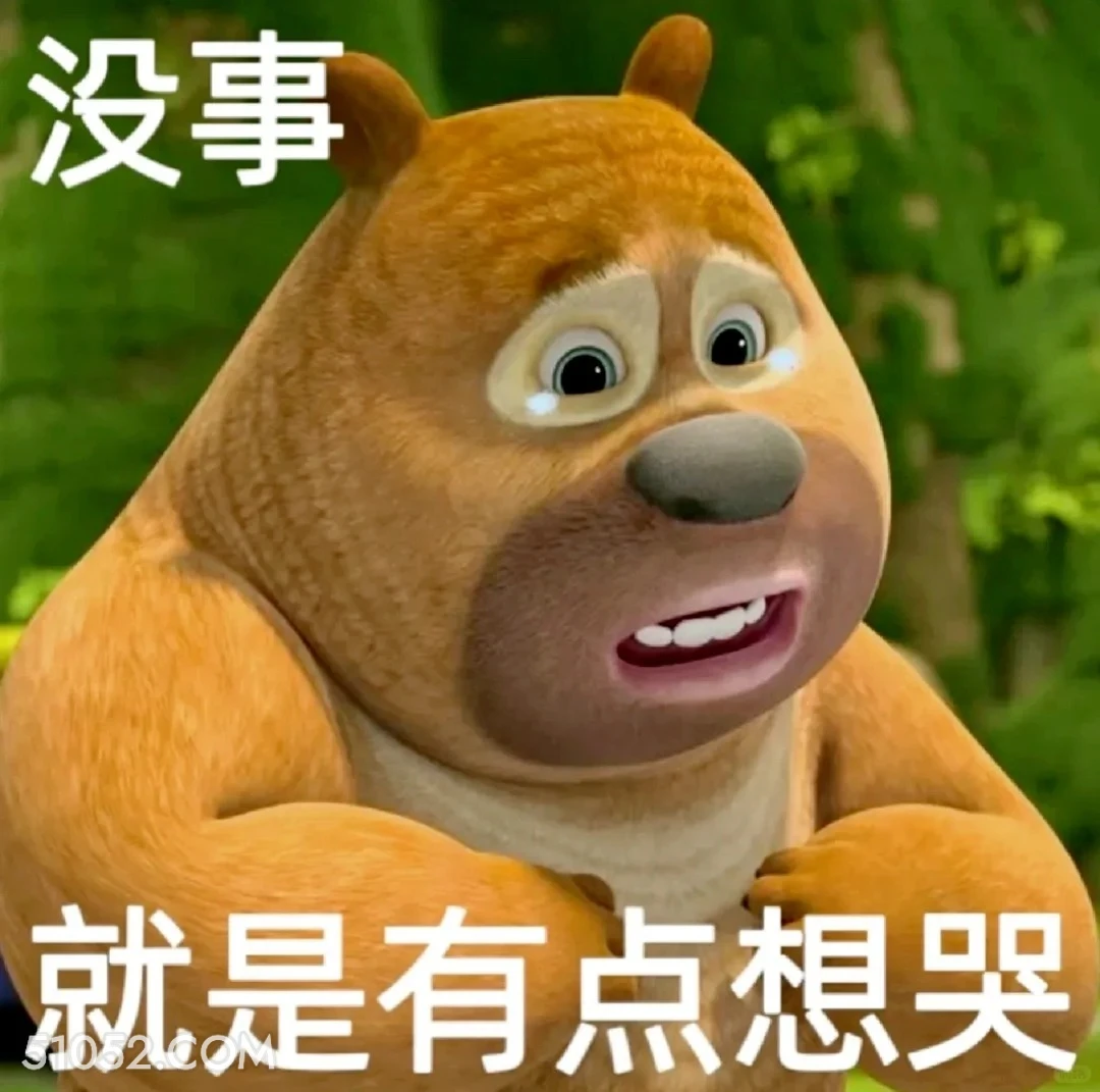 没事，就是想哭 熊出没 动画片 熊大熊二 光头强 搞笑表情