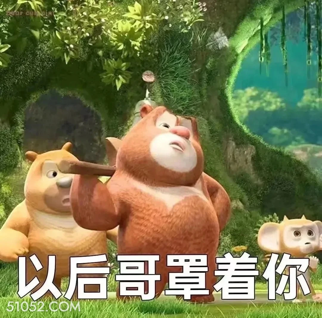以后哥罩着你 熊出没 动画片 熊大熊二 光头强 搞笑表情