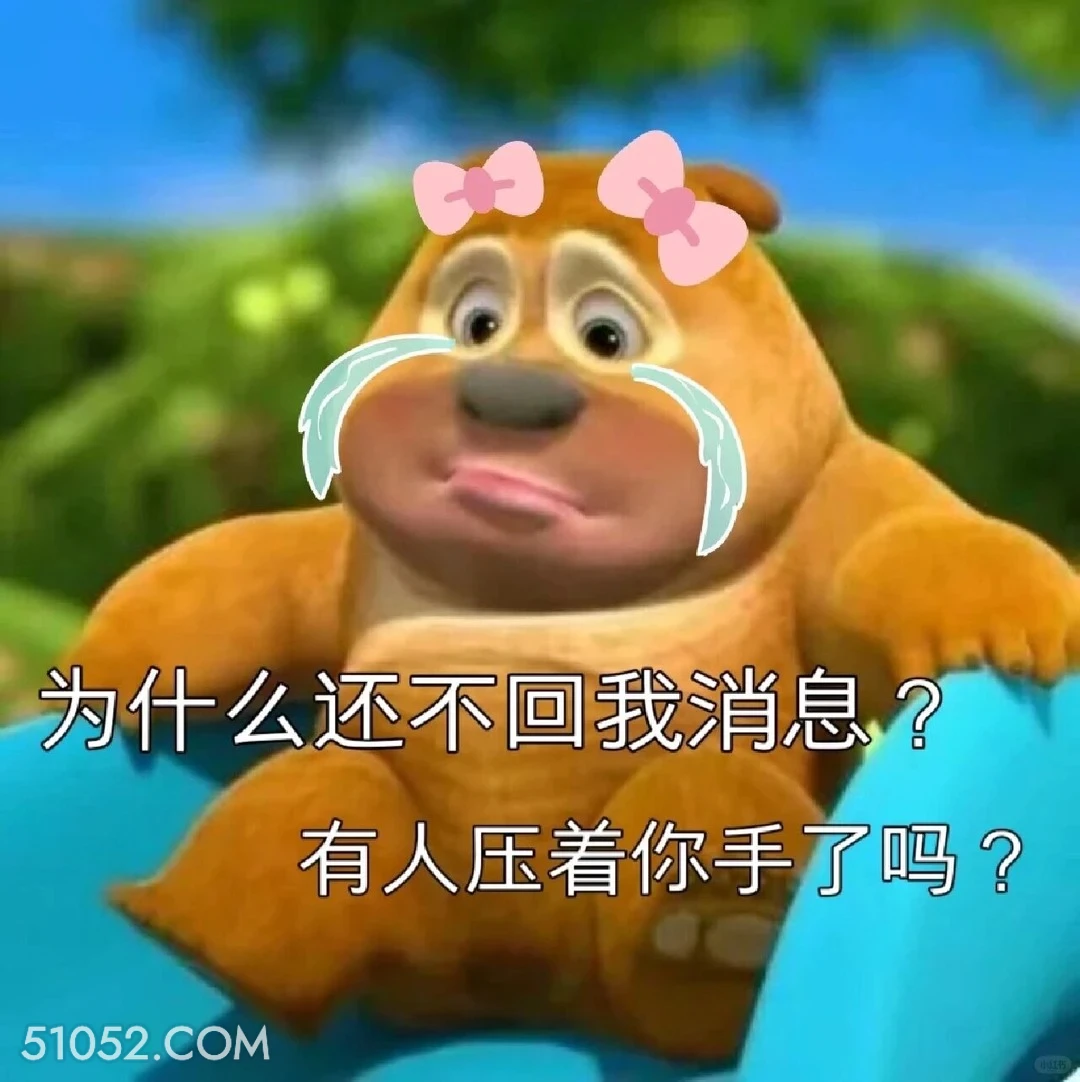 为什么还不回我消息 熊出没 动画片 熊大熊二 光头强 搞笑表情