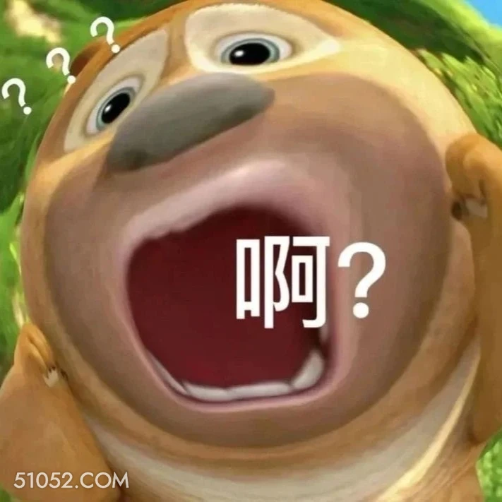 啊？ 熊出没 动画片 熊大熊二 光头强 搞笑表情