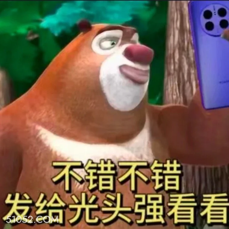 不错，发给光头强看看 熊出没 动画片 熊大熊二 光头强 搞笑表情