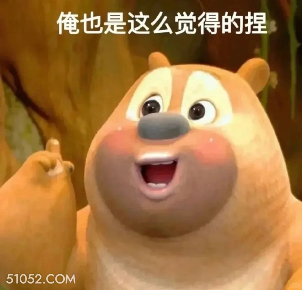 俺也是这么觉得的 熊出没 动画片 熊大熊二 光头强 搞笑表情