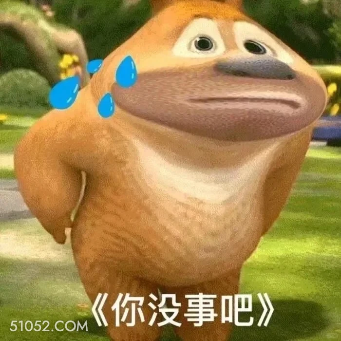 你没事吧 熊出没 动画片 熊大熊二 光头强 搞笑表情