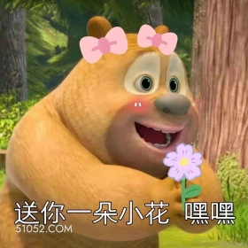送你一朵花 熊出没 动画片 熊大熊二 光头强 搞笑表情