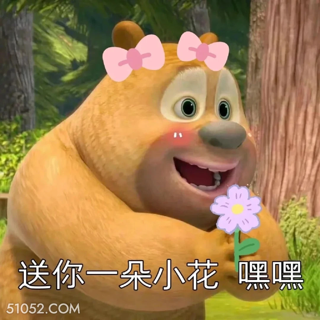 送你一朵花 熊出没 动画片 熊大熊二 光头强 搞笑表情