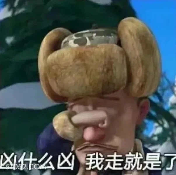 凶什么凶 熊出没 动画片 熊大熊二 光头强 搞笑表情