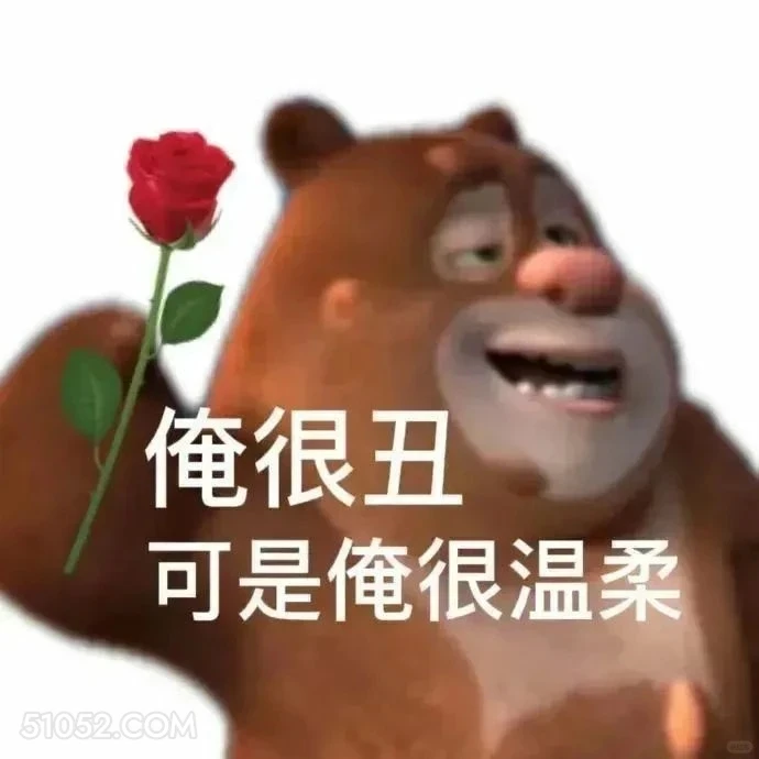 俺很丑但很温柔 熊出没 动画片 熊大熊二 光头强 搞笑表情