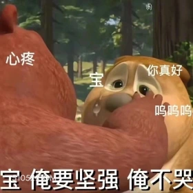 俺要坚强，俺不哭 熊出没 动画片 熊大熊二 光头强 搞笑表情