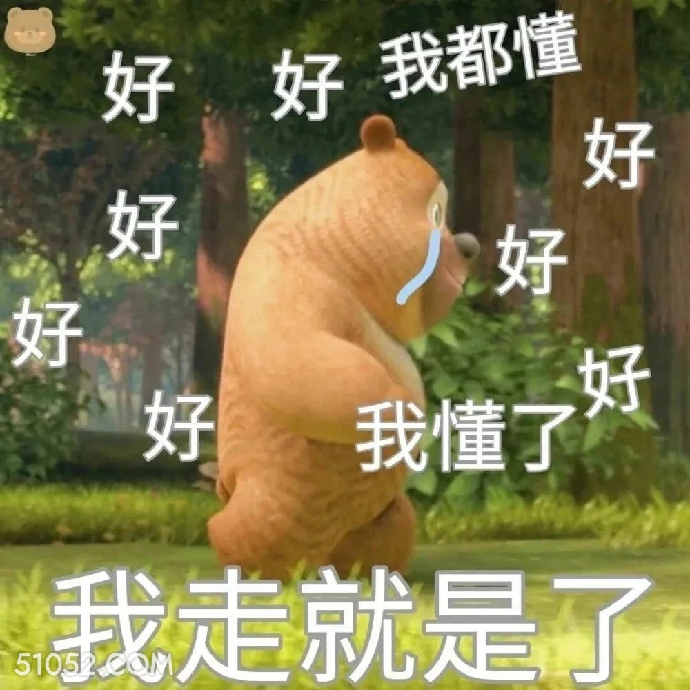 我走就是了 熊出没 动画片 熊大熊二 光头强 搞笑表情