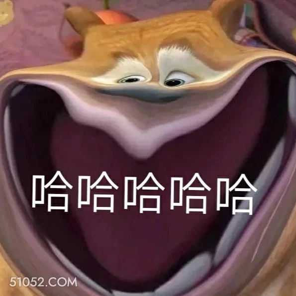 哈哈哈哈 熊出没 动画片 熊大熊二 光头强 搞笑表情