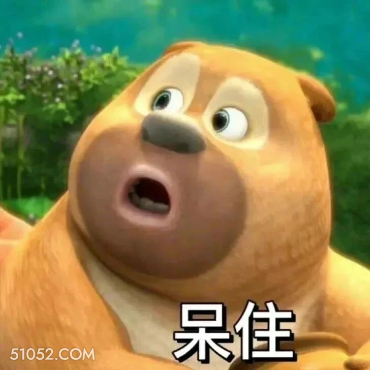 呆住 熊出没 动画片 熊大熊二 光头强 搞笑表情