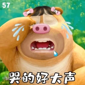 哭的好大声 熊出没 动画片 熊大熊二 光头强 搞笑表情