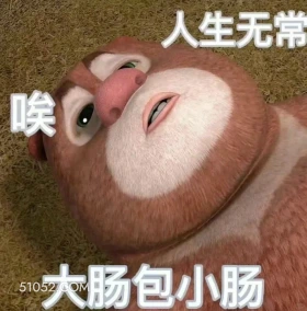人生无常 熊出没 动画片 熊大熊二 光头强 搞笑表情