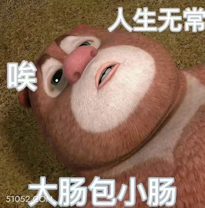 人生无常 熊出没 动画片 熊大熊二 光头强 搞笑表情