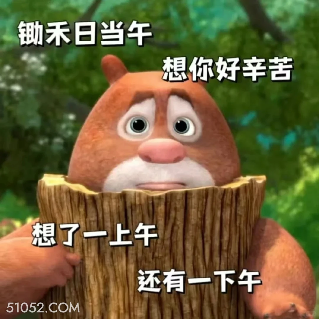 想你好辛苦 熊出没 动画片 熊大熊二 光头强 搞笑表情
