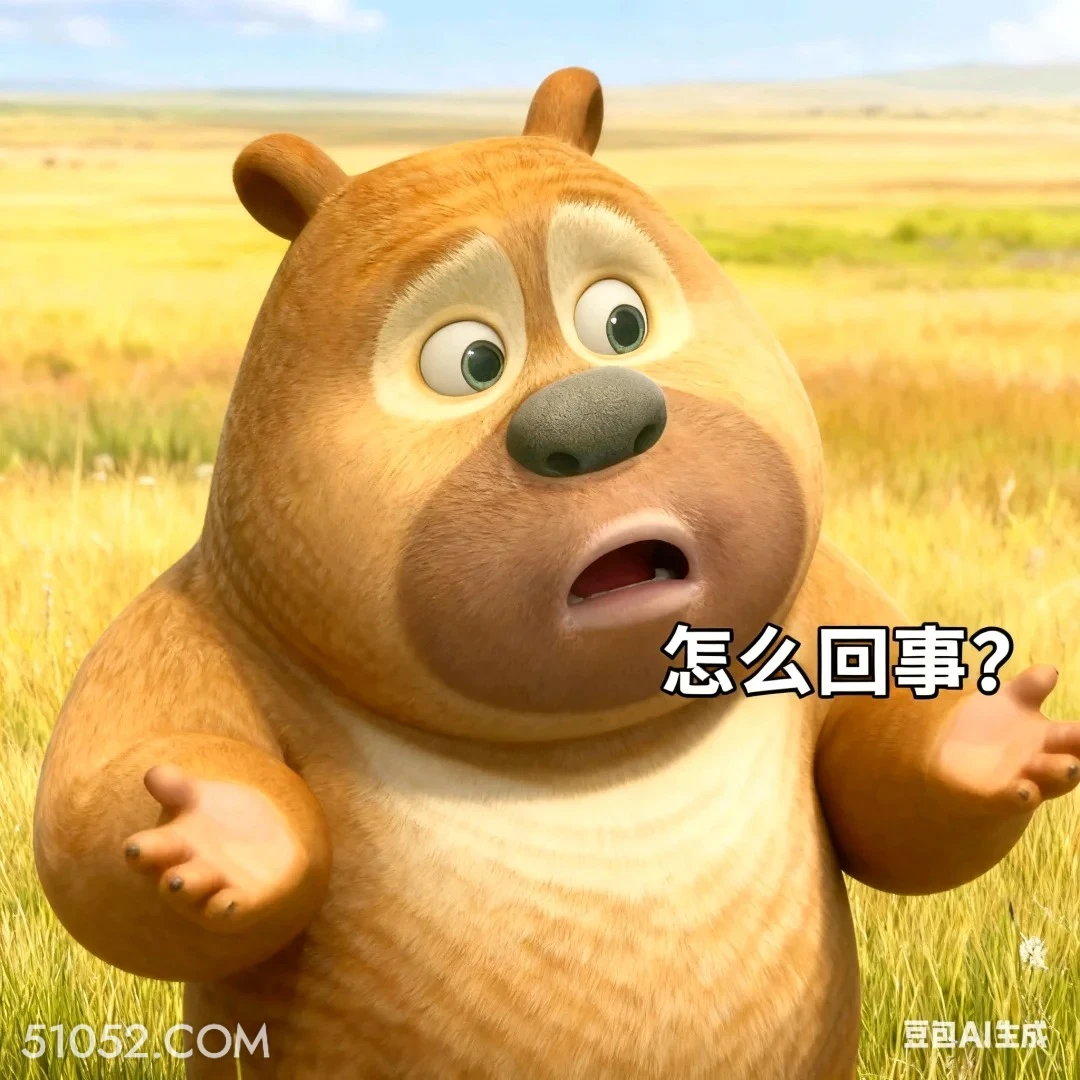 怎么回事 熊出没 动画片 熊大熊二 光头强 搞笑表情