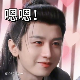 嗯嗯 长安二十四计 影视剧 成毅 刘奕君 搞笑表情