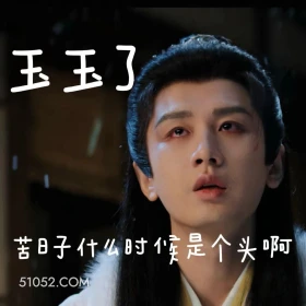 苦日子什么时候是个头 长安二十四计 影视剧 成毅 刘奕君 搞笑表情