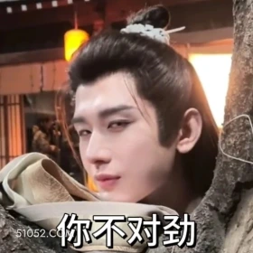 你不对劲 长安二十四计 影视剧 成毅 刘奕君 搞笑表情
