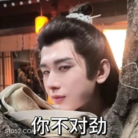 你不对劲 长安二十四计 影视剧 成毅 刘奕君 搞笑表情