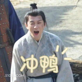 冲鸭 长安二十四计 影视剧 成毅 刘奕君 搞笑表情