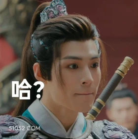 哈？ 水龙吟 影视剧 罗云熙 搞笑表情