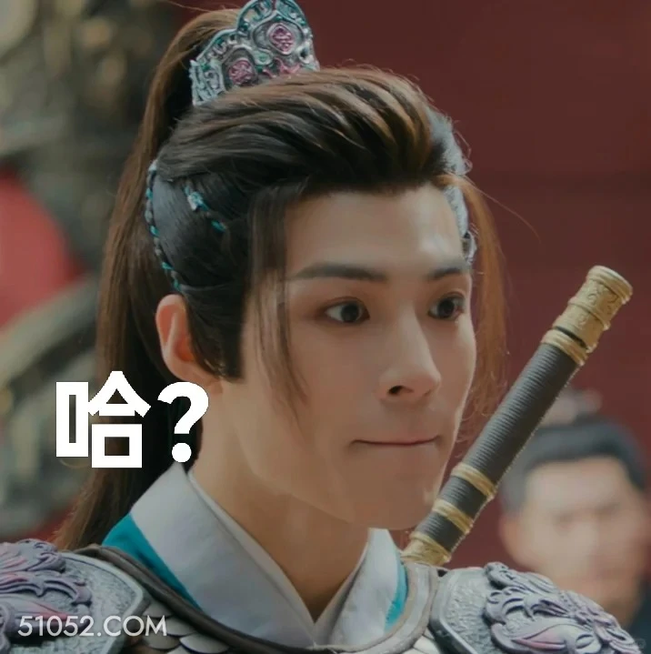 哈？ 水龙吟 影视剧 罗云熙 搞笑表情