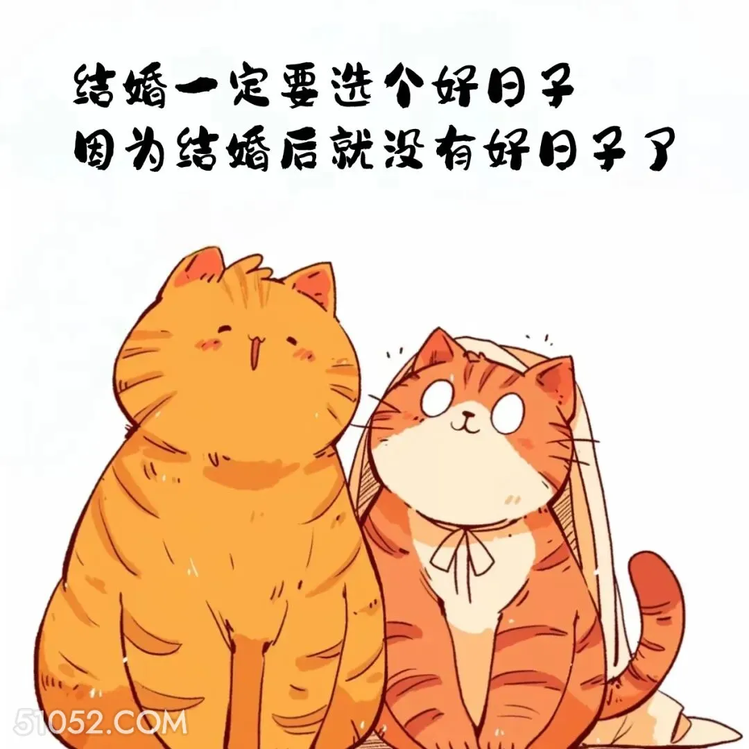 结婚一定要选好日子，因为婚后就没有好日子 猫猫 结婚 搞笑文案