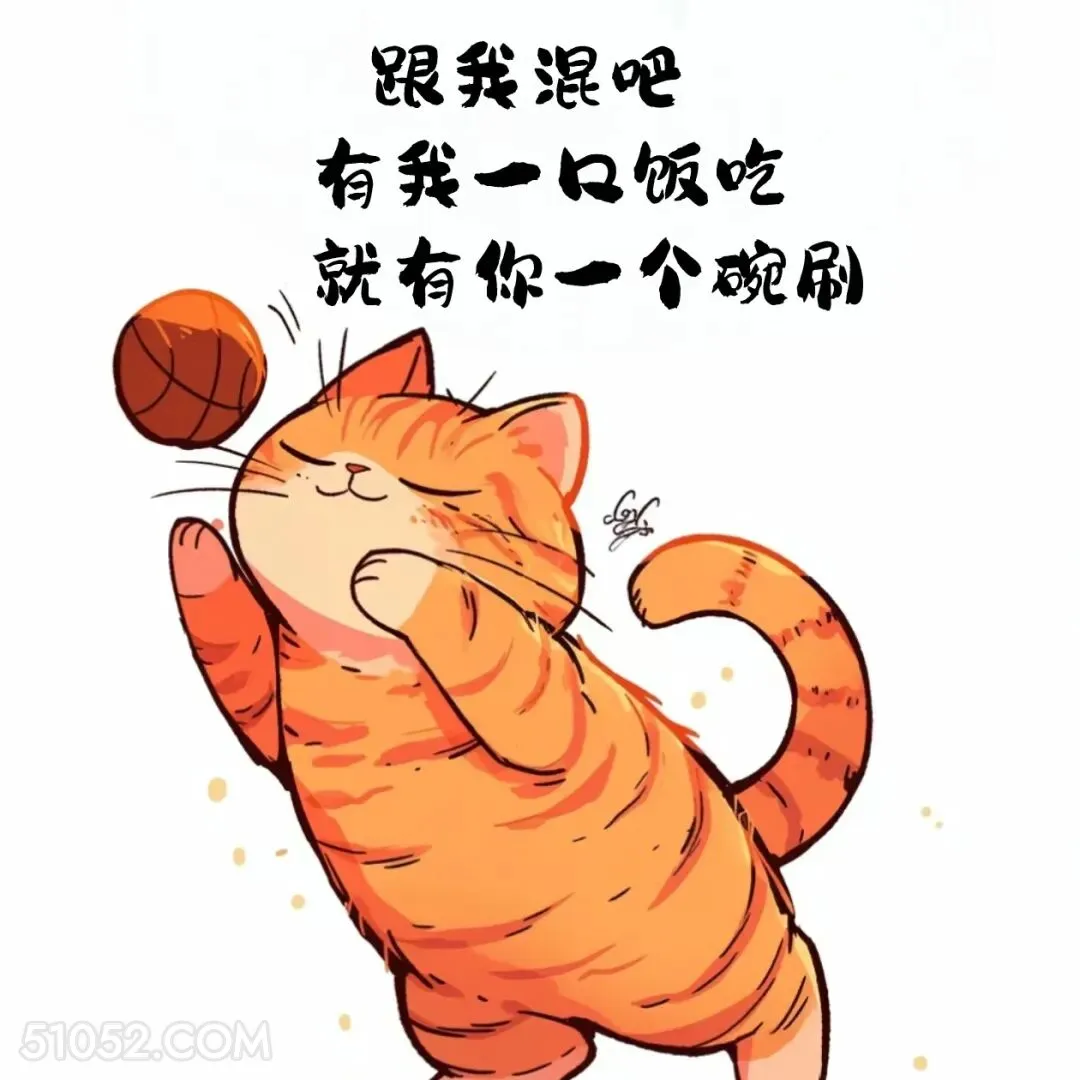 跟我混，有我一口饭吃就有你一个碗刷 猫猫 撩汉 情绪价值 搞笑文案