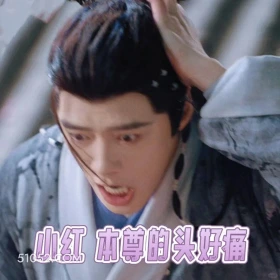 我的头好痛 水龙吟 影视剧 罗云熙 搞笑表情