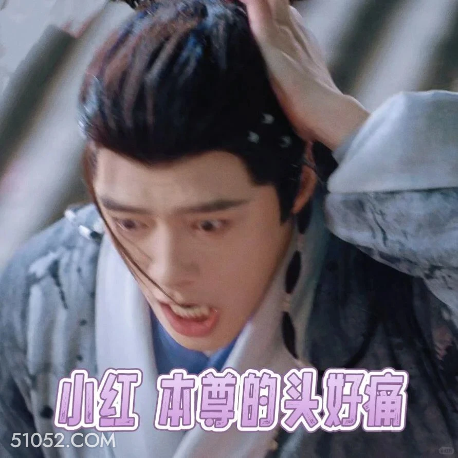 我的头好痛 水龙吟 影视剧 罗云熙 搞笑表情