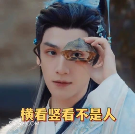 横看竖看不是人 水龙吟 影视剧 罗云熙 搞笑表情