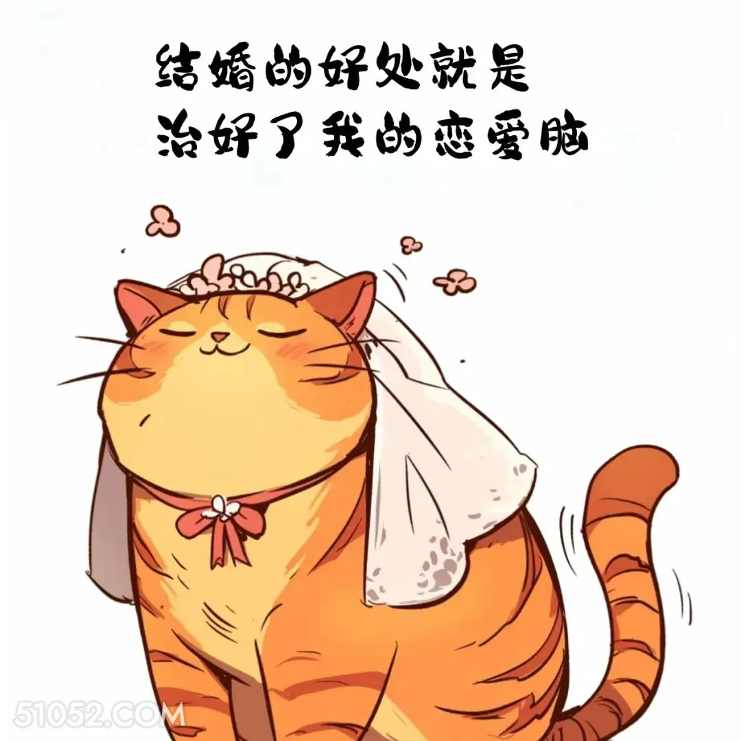 结婚的好处就是治好了我的恋爱脑 猫猫 结婚 搞笑文案
